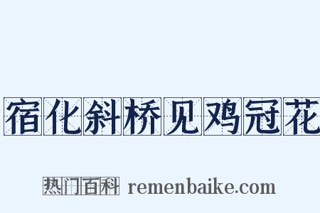 宿化斜桥见鸡冠花是什么意思的图片